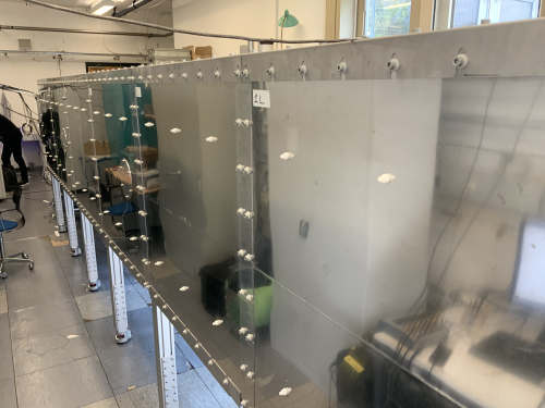 Picture of the left side of the mu-metal